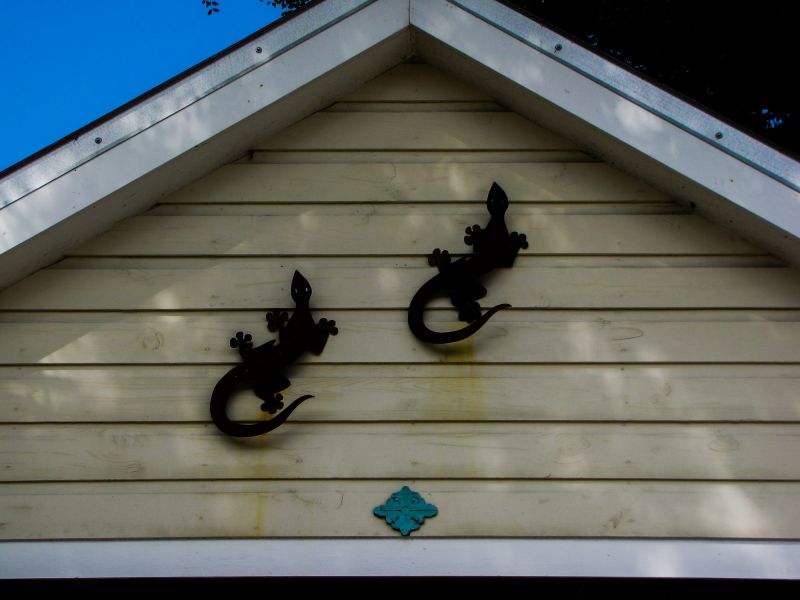 Spring Shiplap Projects